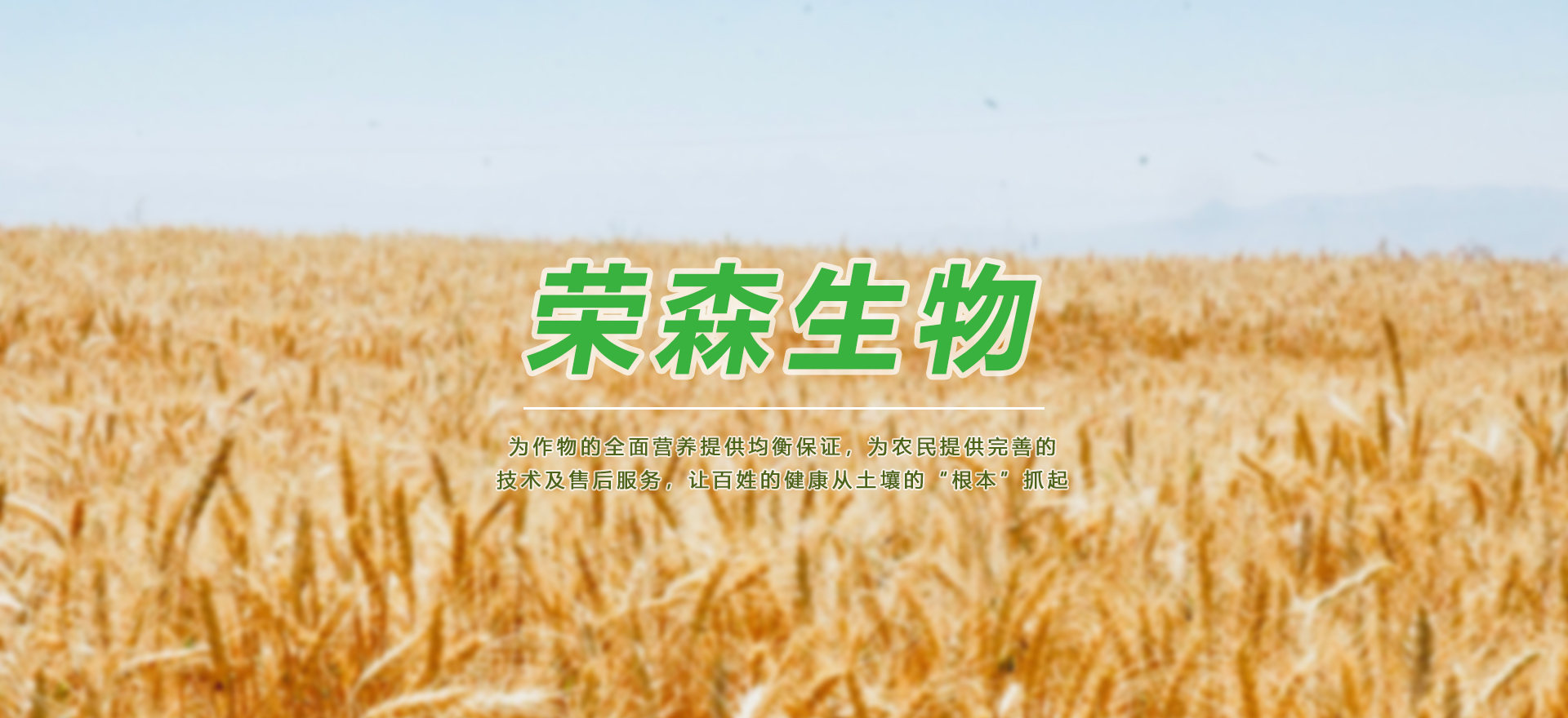 机肥原料厂家