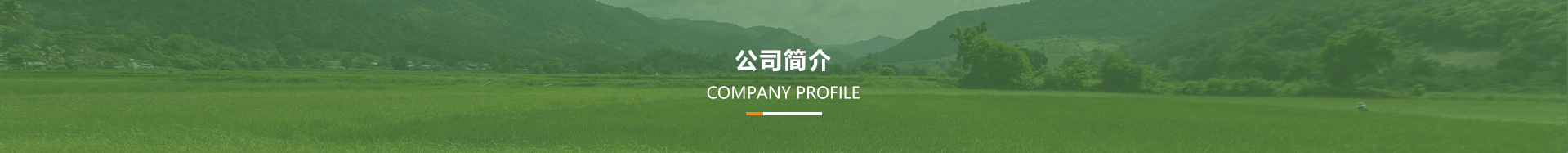 荣森生物
